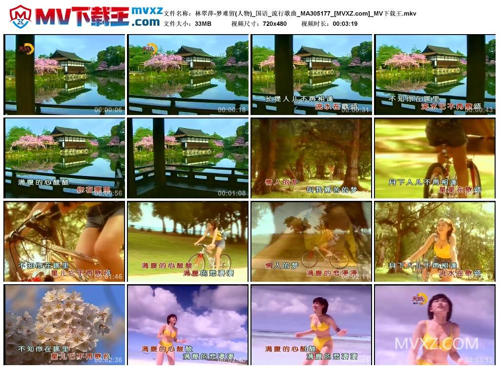林翠萍-梦难留(人物)_国语_流行歌曲_MA305177